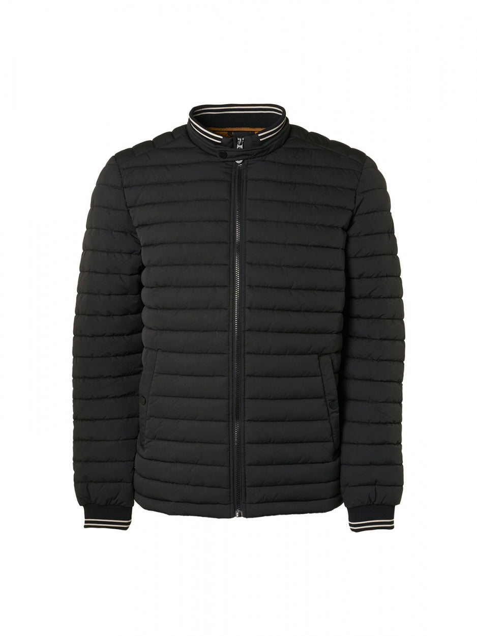 Jacket Short Fit Padded | Black