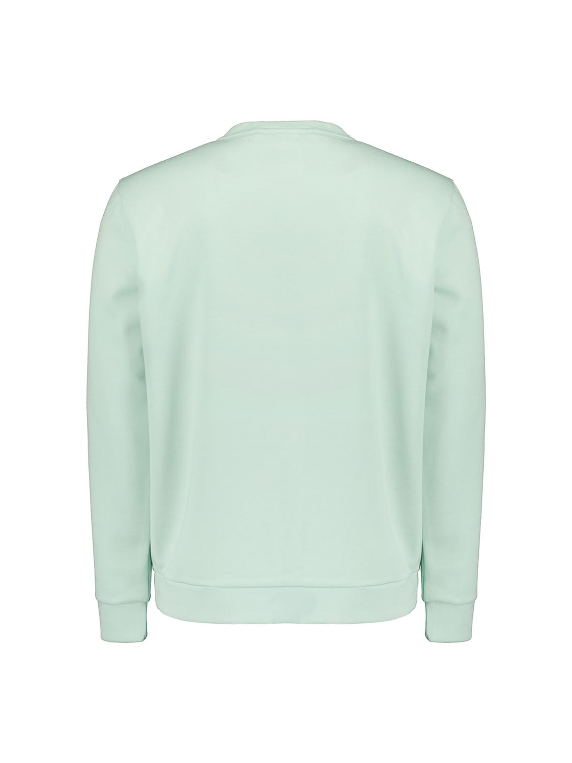 Sweater Crewneck | Mint