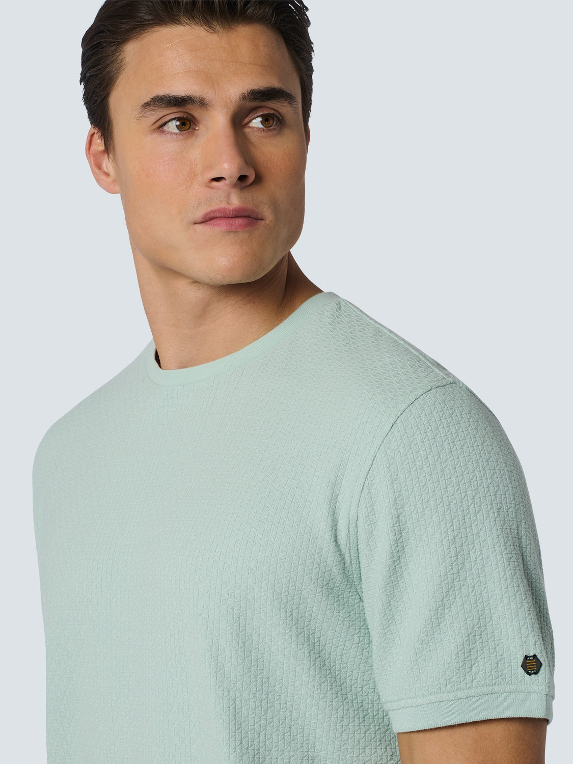 T-Shirt Crewneck Solid Jacquard | Mint