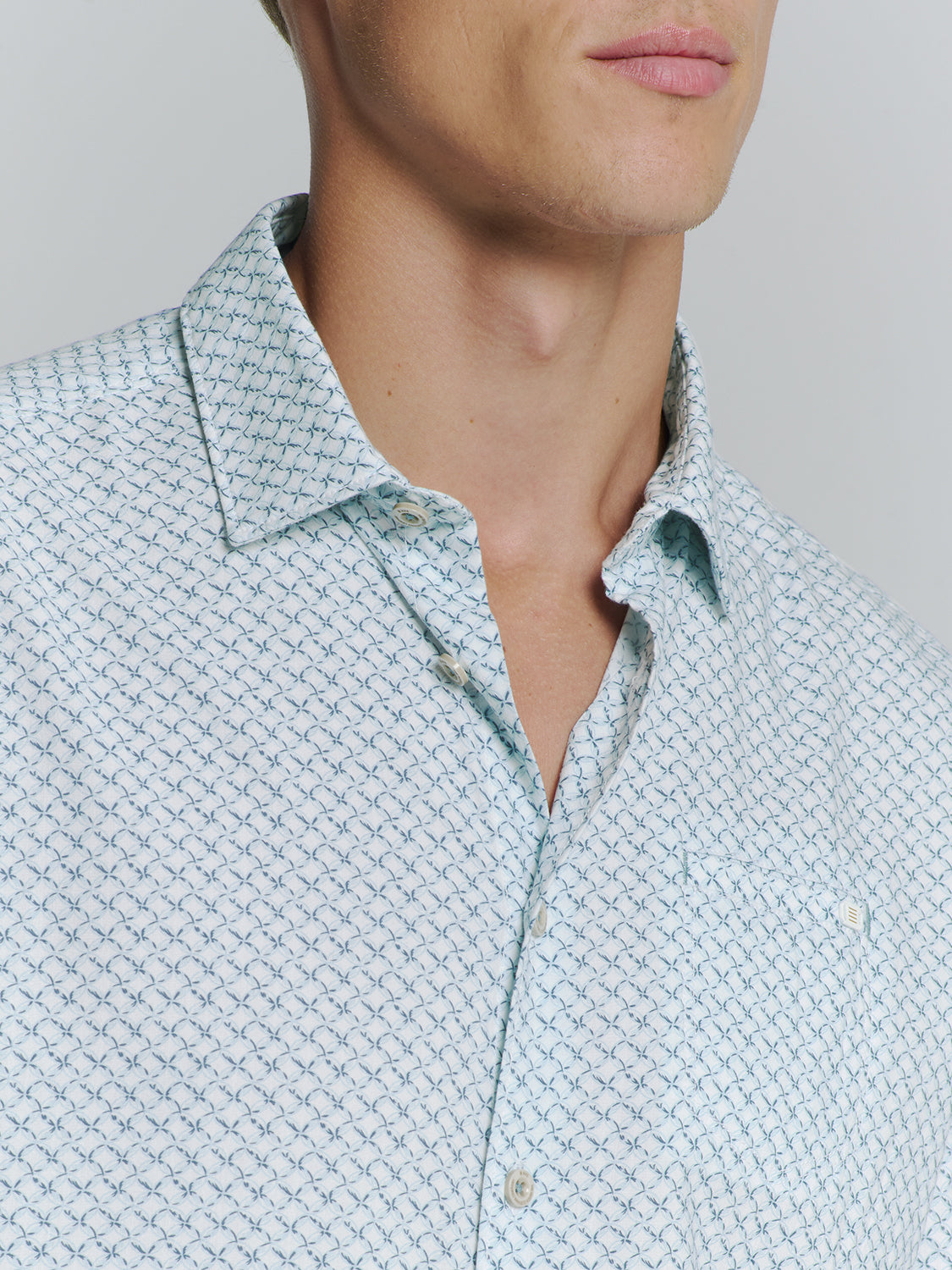 Printed shirt | Ice