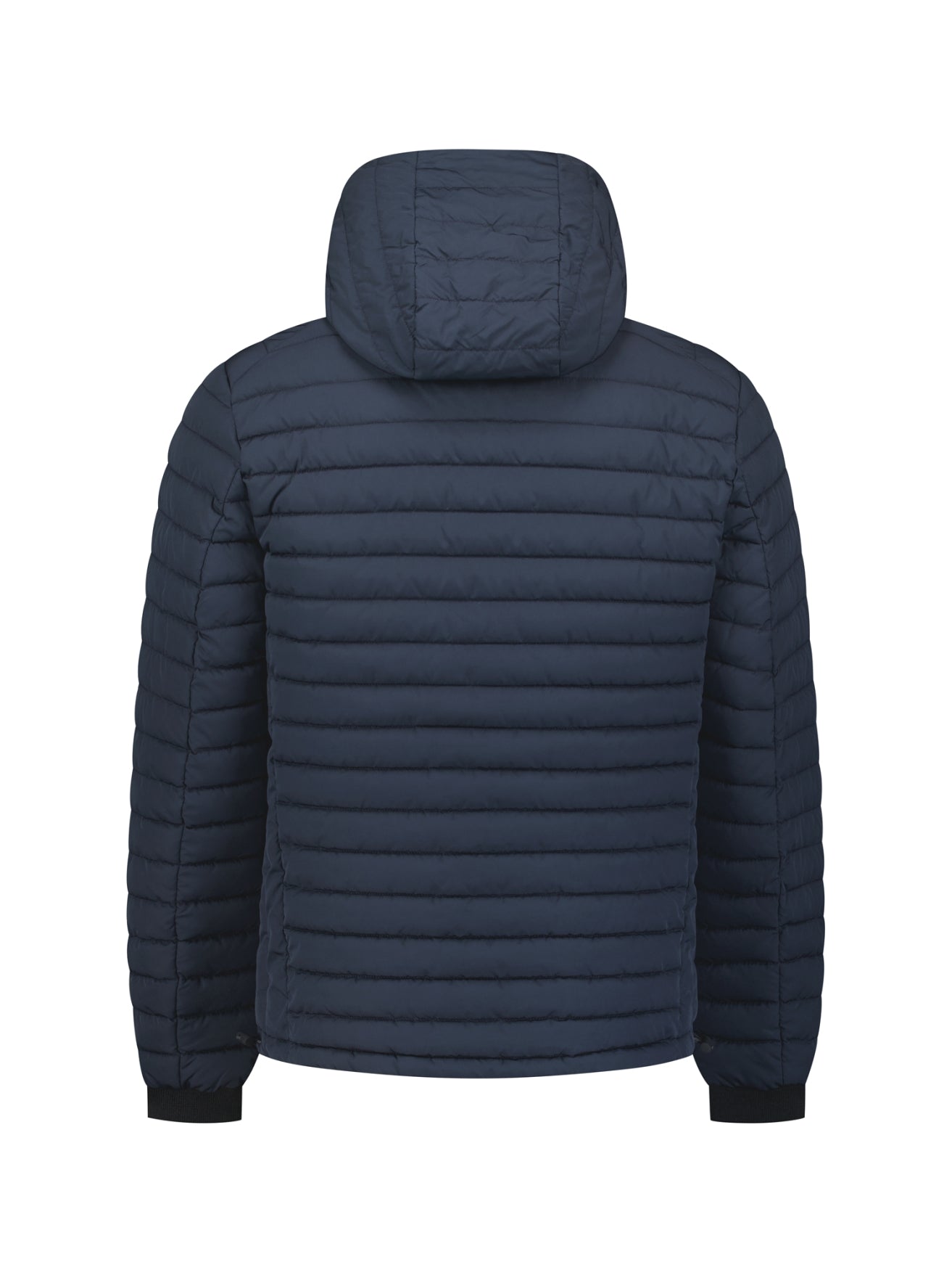 Veste Matelassée À Capuche | Night