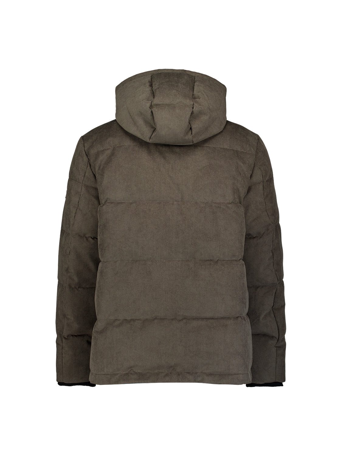 Veste à capuche en velours côtelé | Army